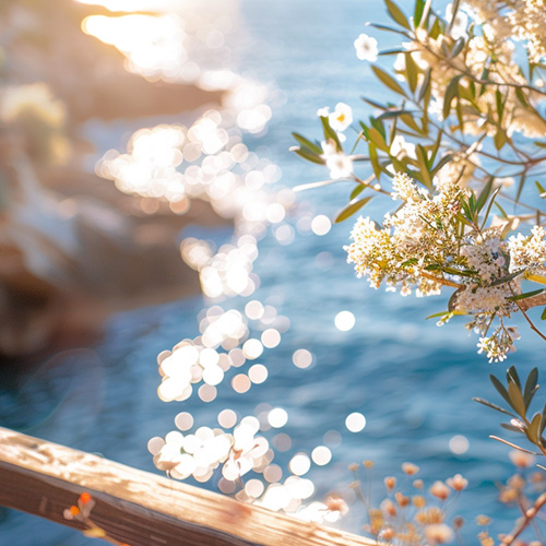 Spiagge dell'Elba